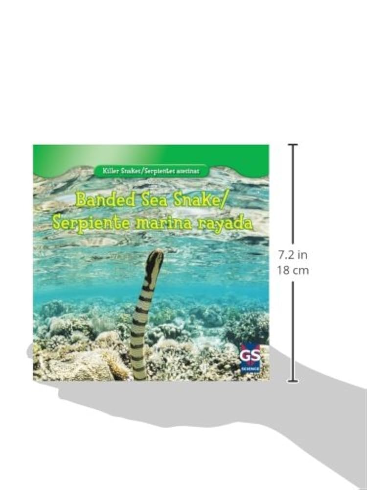 邦楽 Mardelas/Snake to Revive + morphose 邦楽 Mardelas/Snake to Revive + morphose Mardelas/Snake to